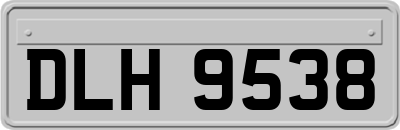 DLH9538