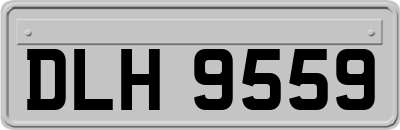 DLH9559