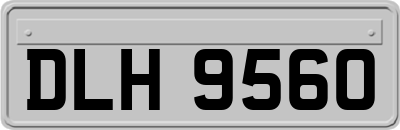 DLH9560