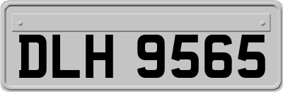 DLH9565