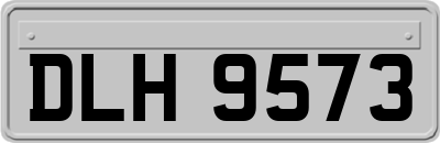 DLH9573