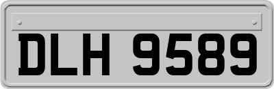 DLH9589