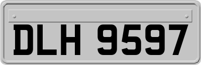 DLH9597