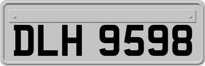 DLH9598