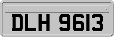 DLH9613