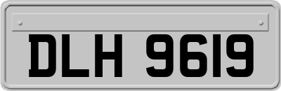 DLH9619