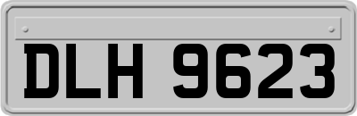 DLH9623
