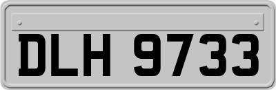 DLH9733