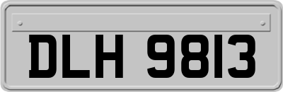 DLH9813