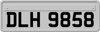 DLH9858