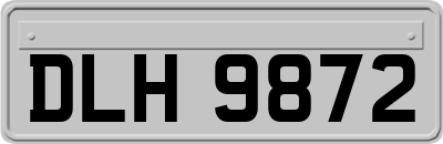 DLH9872