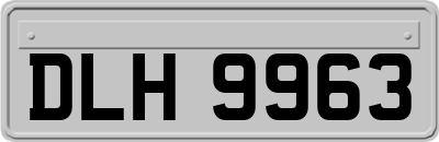 DLH9963