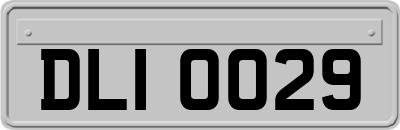 DLI0029