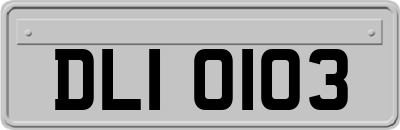 DLI0103