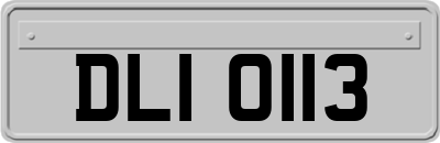 DLI0113