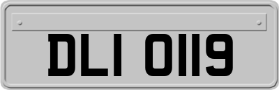 DLI0119