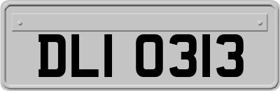 DLI0313