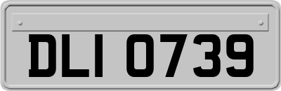 DLI0739