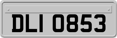 DLI0853
