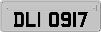 DLI0917