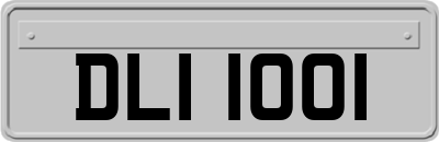 DLI1001