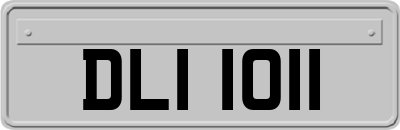 DLI1011
