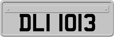 DLI1013
