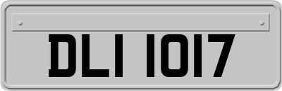 DLI1017