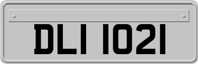 DLI1021
