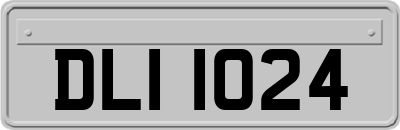 DLI1024