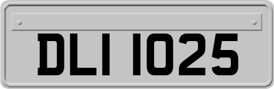 DLI1025