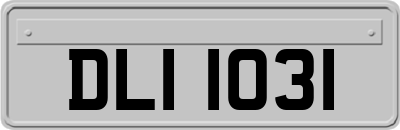 DLI1031