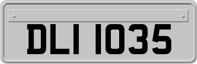 DLI1035