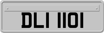 DLI1101