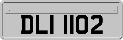 DLI1102