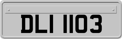 DLI1103