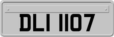 DLI1107