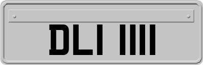 DLI1111