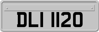 DLI1120