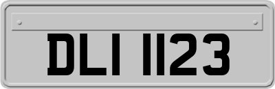 DLI1123