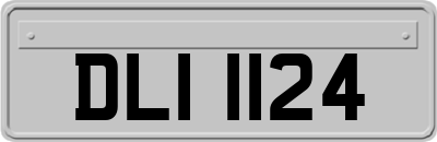DLI1124