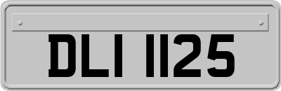 DLI1125