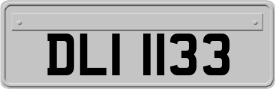 DLI1133