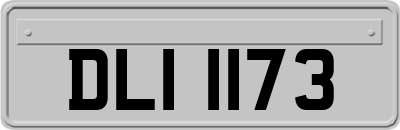 DLI1173