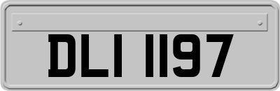 DLI1197