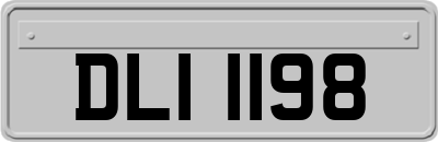DLI1198