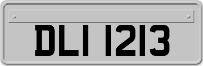 DLI1213