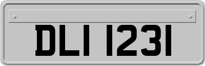 DLI1231