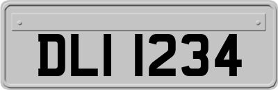 DLI1234