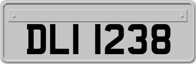 DLI1238